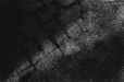 1999