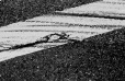 1999