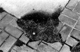 1995